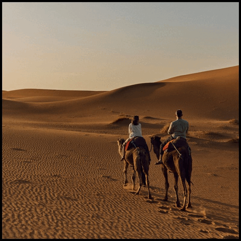 Life, Well-Travelled
